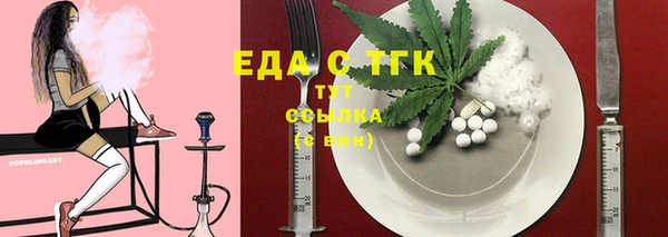 тгк Ельня