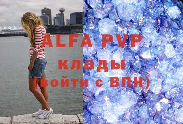 тгк Ельня