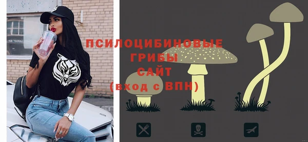 гашик Елабуга