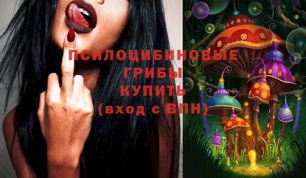 метадон Елизово