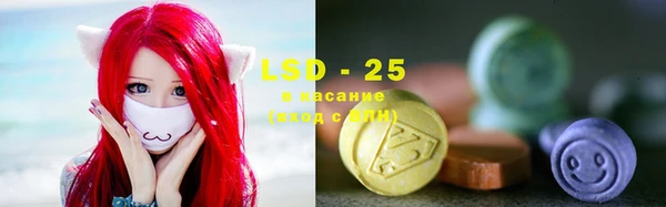 тгк Ельня