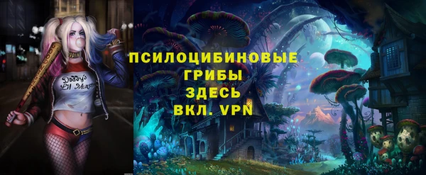 метадон Елизово