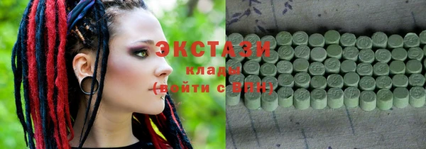 тгк Ельня