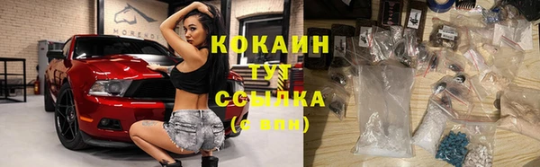 метадон Елизово