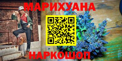 крисы Славгород