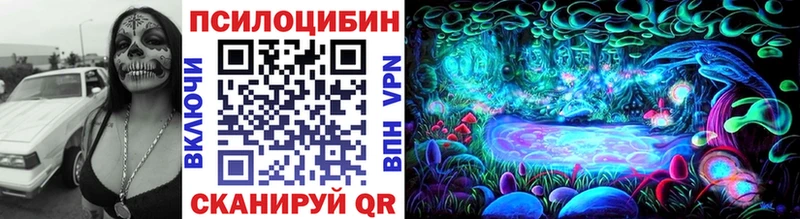 где купить   Сибай  гидра сайт  Псилоцибиновые грибы мухоморы 