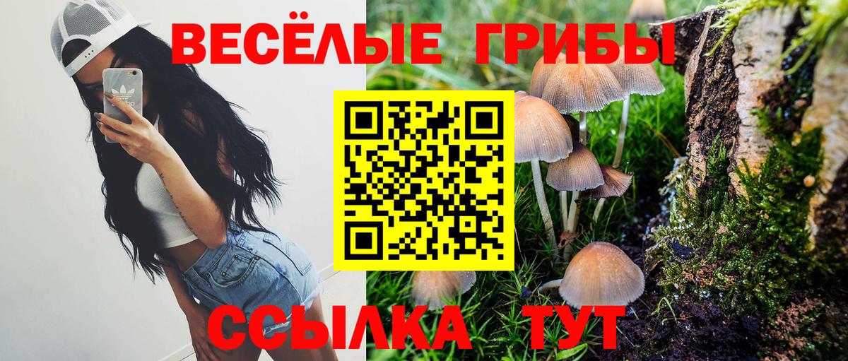 Сибай  Псилоцибиновые грибы Cubensis  Вход с VPN 